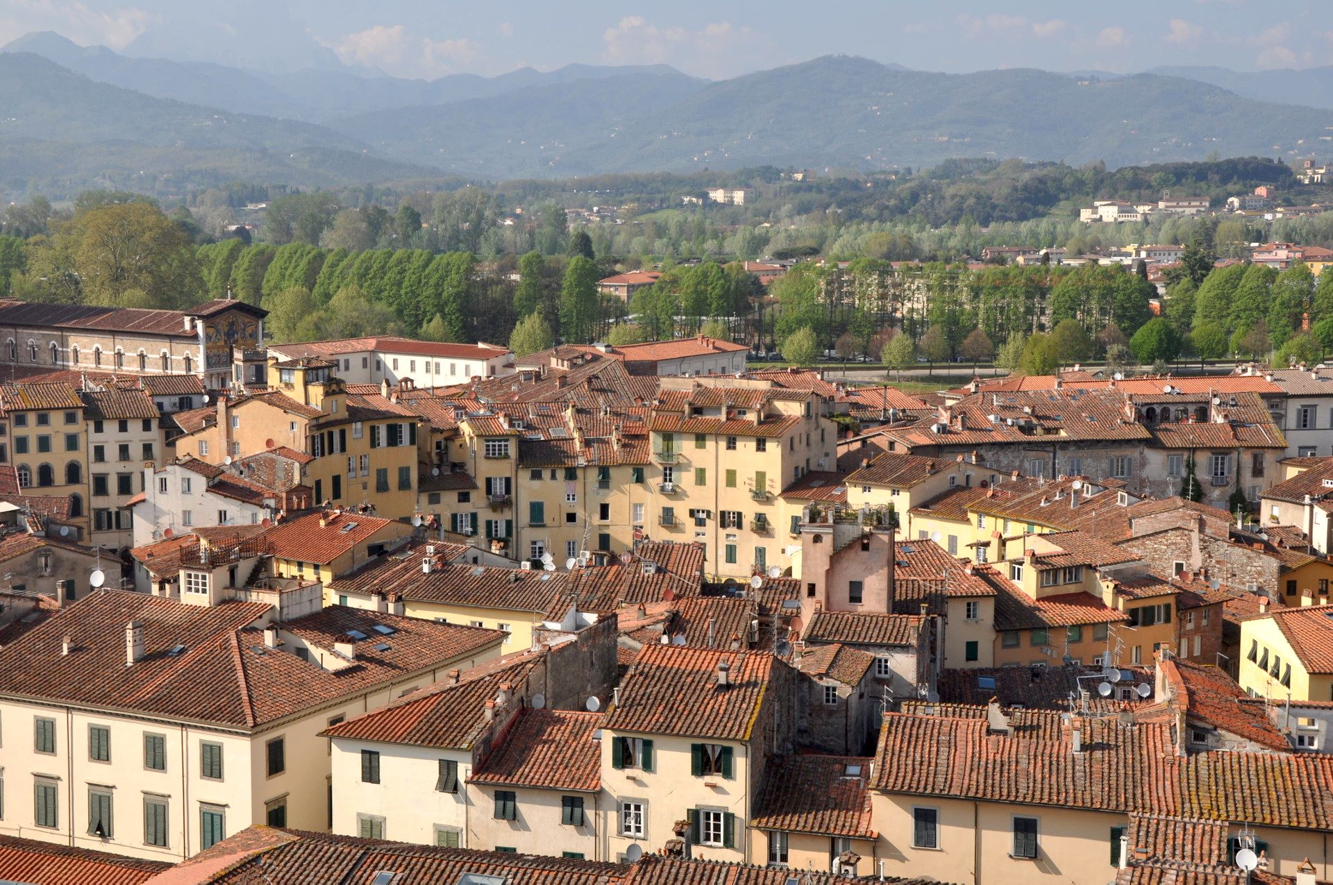 Lucca, Torre Guinigi
